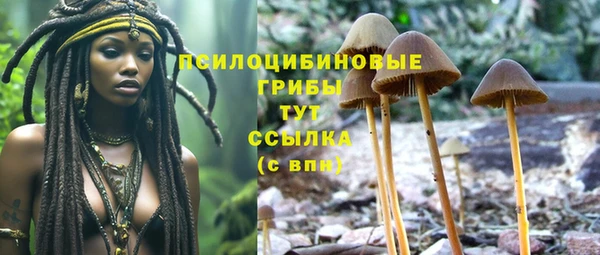 стафф Верея