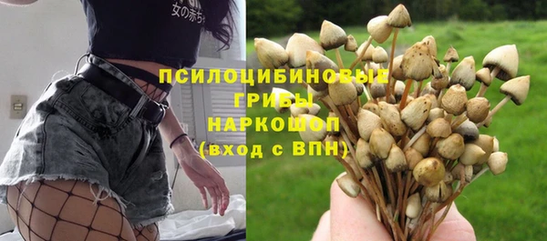 стафф Верея