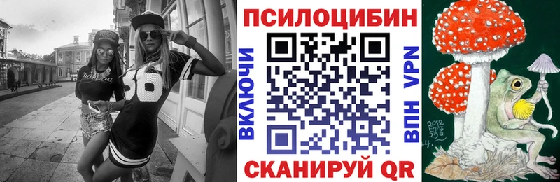 купить   Елизаветинская  Псилоцибиновые грибы прущие грибы 